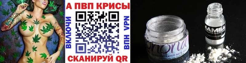 Alfa_PVP СК КРИС  Щёлково 