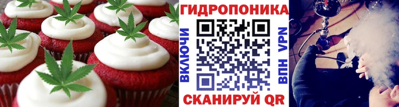 Canna-Cookies марихуана  Щёлково 
