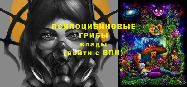 mdpv Михайловск