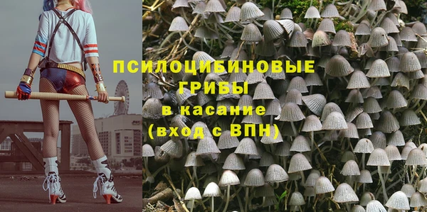 mdpv Михайловск